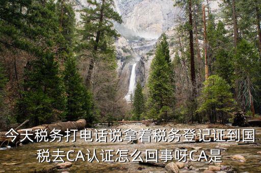 報(bào)稅用的ca是什么，今天稅務(wù)打電話說拿著稅務(wù)登記證到國稅去CA認(rèn)證怎么回事呀CA是
