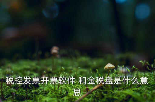 稅控系統(tǒng)指什么，稅控發(fā)票開票軟件 和金稅盤是什么意思