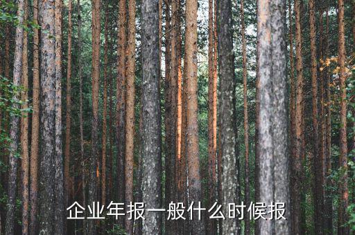 財(cái)務(wù)年報(bào)什么時(shí)候報(bào)，企業(yè)財(cái)務(wù)會(huì)計(jì)報(bào)告什么時(shí)間出具
