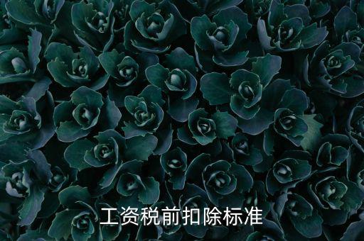 什么是稅前扣除標(biāo)準(zhǔn)，請問差旅費稅前扣除標(biāo)準(zhǔn)是什么