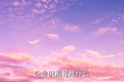 查詢公司什么納稅人識別號，納稅人識別號怎么查啊
