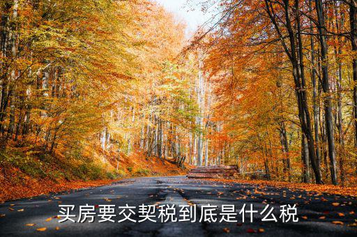 契稅的征稅范圍是什么，契稅的征稅范圍主要有哪些