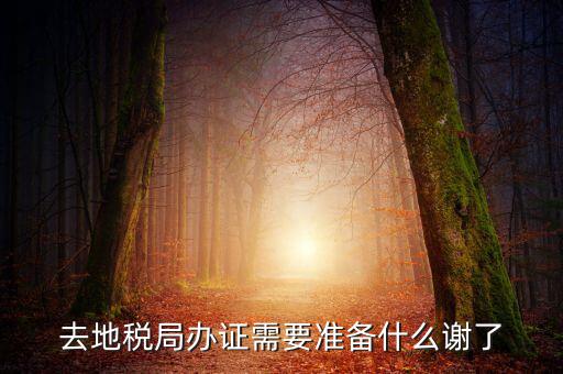 地稅局辦理什么，地稅局開發(fā)票需要辦什么手續(xù)