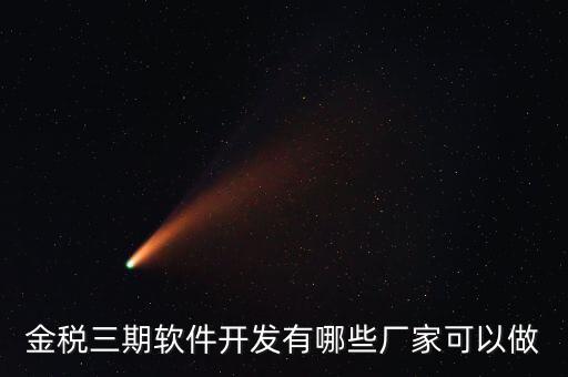 金稅三期軟件開(kāi)發(fā)有哪些廠(chǎng)家可以做