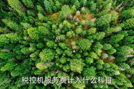 稅控算什么費(fèi)，稅控機(jī)服務(wù)費(fèi) 包括哪些增值的服務(wù)費(fèi)啊到底要收多少