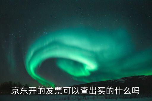 手機(jī)發(fā)票可以查什么東西，京東開的發(fā)票可以查出買的什么嗎
