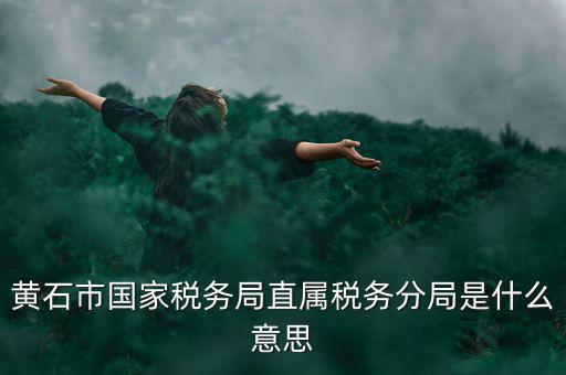 國稅直屬分局是什么局，國稅局是什么單位