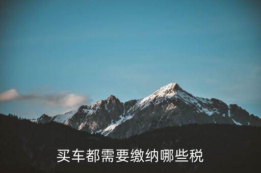 車輛納稅需要什么意思，車輛上路需要交什么稅