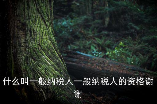 什么是一般納稅人資格證嗎，什么叫一般納稅人一般納稅人的資格謝謝