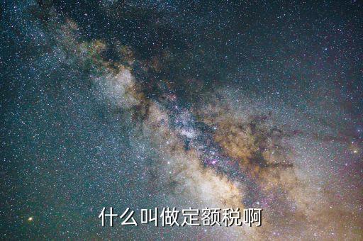 定額定稅是什么意思，什么叫做定額稅啊