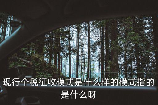 個(gè)人征稅系統(tǒng)是什么，你好補(bǔ)交個(gè)稅在稅局系統(tǒng)怎樣操作