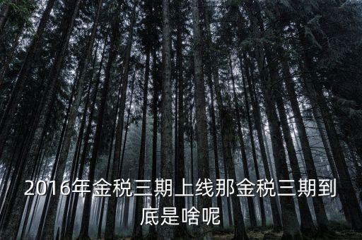 國(guó)稅金稅三期是什么意思，金稅三期是什么意思