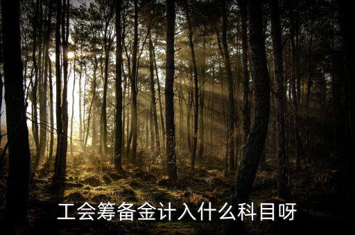 什么是工會籌備金，工會籌備金計(jì)入什么科目呀