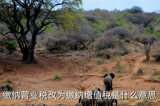 營(yíng)業(yè)稅改為增值稅是什么意思，營(yíng)業(yè)稅改增值稅指的是什么