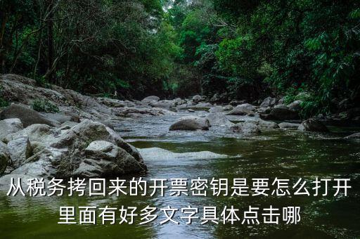 稅務(wù)密鑰是什么，增值稅專用發(fā)票辦理秘鑰是什么意思