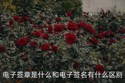 國稅電子簽章什么意思，什么是電子印章