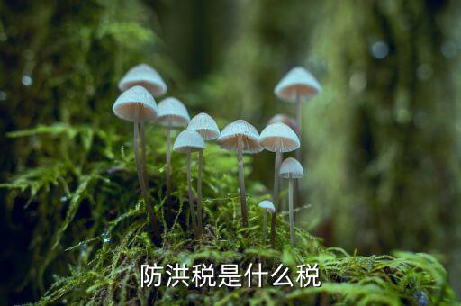 什么防洪稅，水利工程建設(shè)防洪工程應(yīng)交什么稅