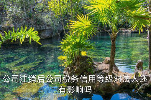 國(guó)稅評(píng)級(jí)有什么影響，納稅評(píng)估的作用有哪些