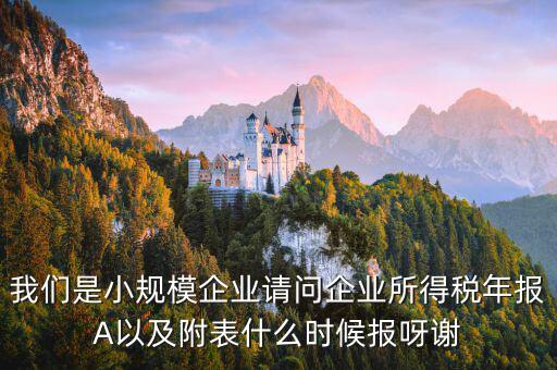所得稅年報(bào)填什么時(shí)間，企業(yè)所得稅年報(bào)什么時(shí)候報(bào)