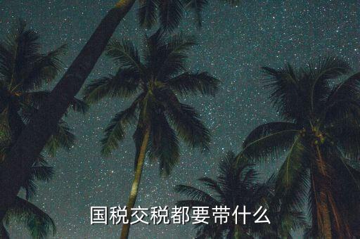 國稅錄指紋需要帶什么，國稅交稅都要帶什么