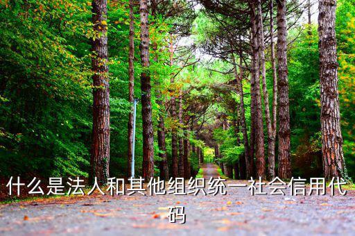 機(jī)關(guān)有社會(huì)信用代碼是什么意思，社會(huì)信用代碼與機(jī)構(gòu)信用代碼有什么不同