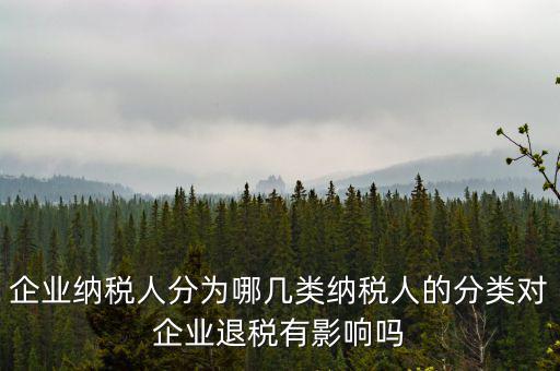 什么A級B級信用納稅人，A級增值稅一般納稅人C級增值稅一般納稅