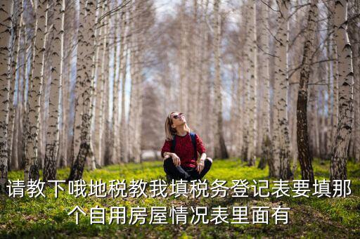 請教下哦地稅教我填稅務(wù)登記表要填那個(gè)自用房屋情況表里面有