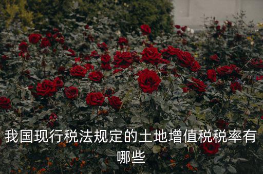 土地增值稅采用什么稅率，土地增值稅應(yīng)用于哪種稅率形式
