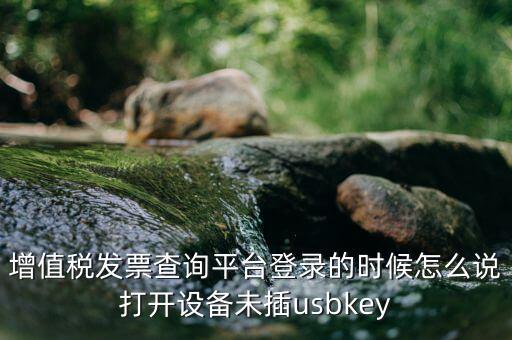 金稅盤登陸口令是什么，增值稅發(fā)票查詢平臺(tái)登錄的時(shí)候怎么說(shuō)打開設(shè)備未插usbkey