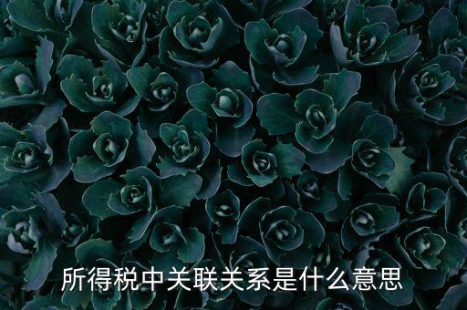 所得稅關(guān)聯(lián)表是什么意思，所得稅中關(guān)聯(lián)關(guān)系是什么意思