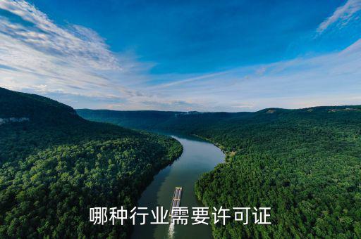 什么行業(yè)要開(kāi)外管證，哪些行業(yè)需要辦特業(yè)證