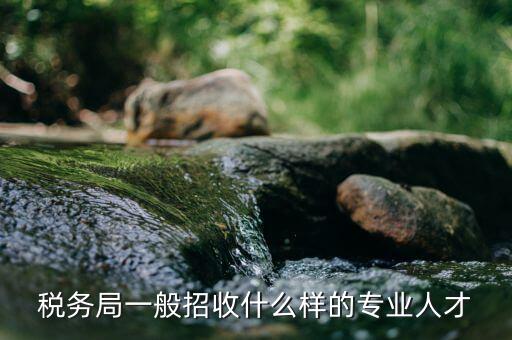什么專業(yè)可進稅務所，稅務局一般招收什么樣的專業(yè)人才
