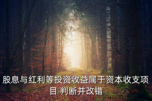股息紅利等投資收益屬于什么，股息與紅利等投資收益屬于資本收支項(xiàng)目 判斷并改錯(cuò)