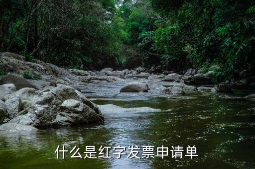 紅字申請(qǐng)單是什么意思，由銷售方申請(qǐng)開具紅字發(fā)票是什么意思
