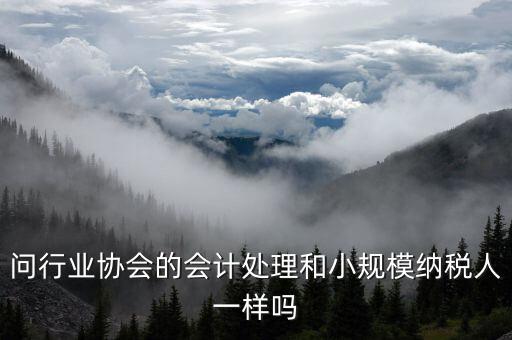 行業(yè)協(xié)會為什么納稅人，問行業(yè)協(xié)會的會計處理和小規(guī)模納稅人一樣嗎