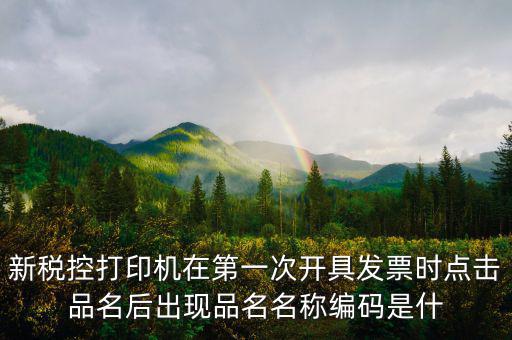 發(fā)票 商品編碼是什么，發(fā)票號碼和發(fā)票代碼是什么我的發(fā)票上只有單據(jù)編碼和貨品編號啊