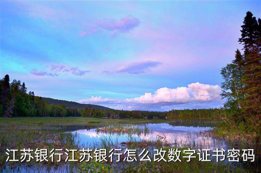如何改數(shù)字證書密碼是什么意思，建行重新申請(qǐng)數(shù)字證書之后的登陸密碼是什么