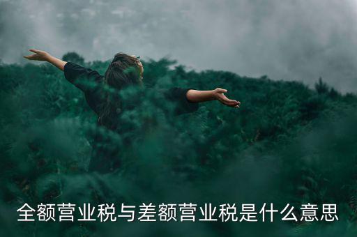 什么叫差額征稅，什么是差額稅