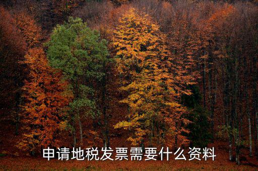 地稅局開票需要帶什么，申請地稅發(fā)票需要什么資料