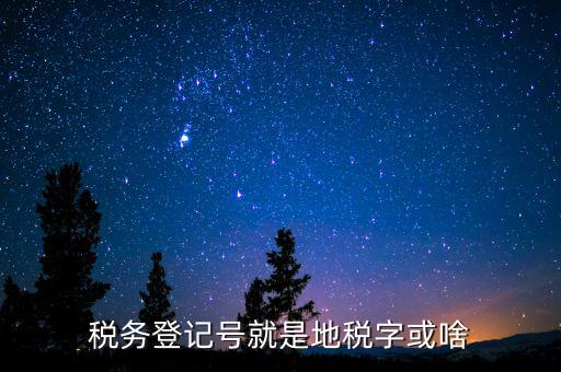 國稅地稅登記號(hào)是什么意思，稅務(wù)登記號(hào)就是地稅字或啥