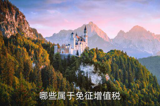 銷售什么可以免稅，哪些屬于免征增值稅