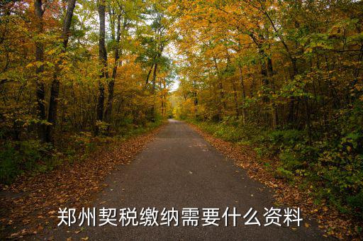 鄭州報(bào)稅用什么資料，鄭州國(guó)稅網(wǎng)上申報(bào)問題