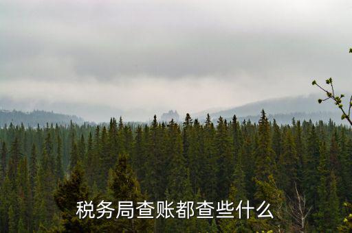 稅務局查稅一般查什么，請問一下老師一般稅務局人來查帳一般查什么的