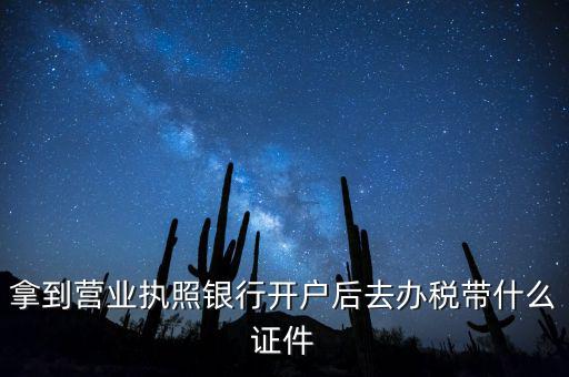 拿到營(yíng)業(yè)執(zhí)照銀行開(kāi)戶(hù)后去辦稅帶什么證件
