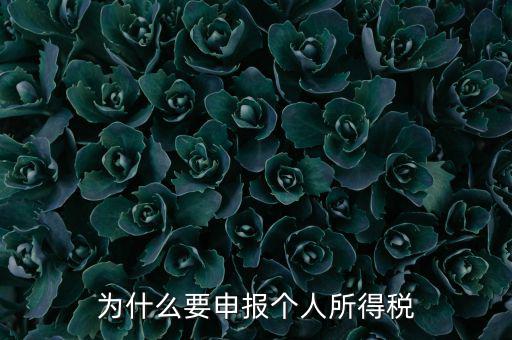 為什么要申報納稅，為什么公司老是要申報稅