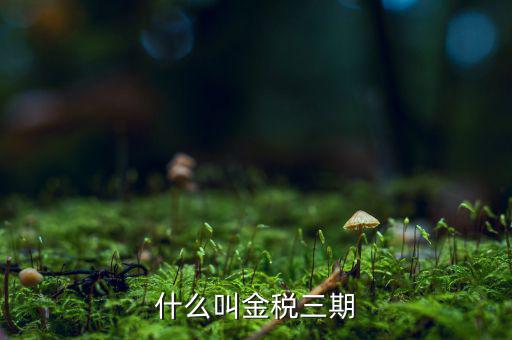 為什么叫金稅三期，2016年金稅三期上線那金稅三期到底是啥呢
