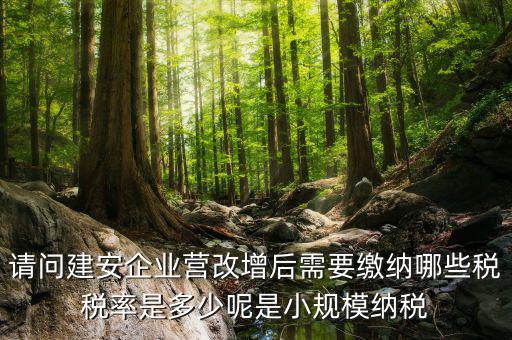 請(qǐng)問建安企業(yè)營(yíng)改增后需要繳納哪些稅稅率是多少呢是小規(guī)模納稅