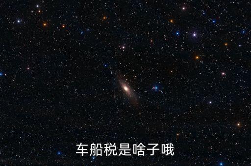 保險(xiǎn)的車船稅是什么，車船稅是啥子哦
