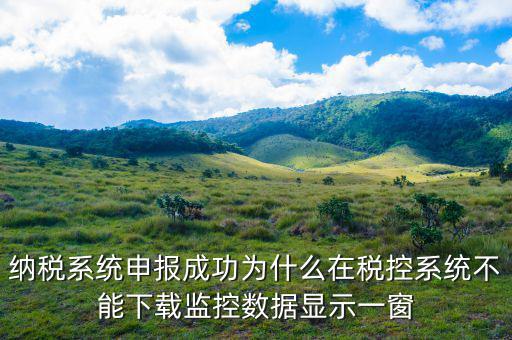納稅系統申報成功為什么在稅控系統不能下載監(jiān)控數據顯示一窗