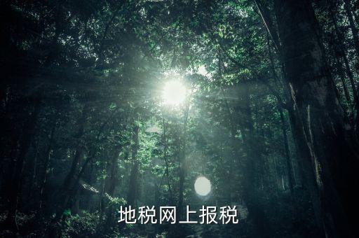 地稅網(wǎng)上需要報(bào)什么稅，網(wǎng)上報(bào)稅地稅國(guó)稅各有哪些稅種